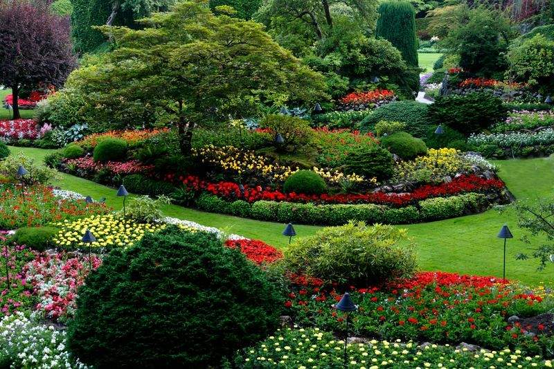 VerdeVivo Jardinería Paulista