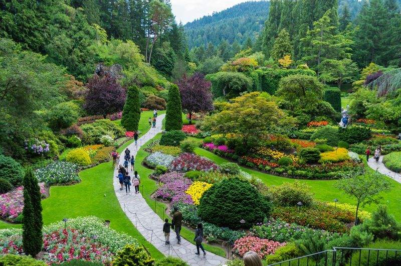 Cómo mantener tu jardín verde durante los meses más secos