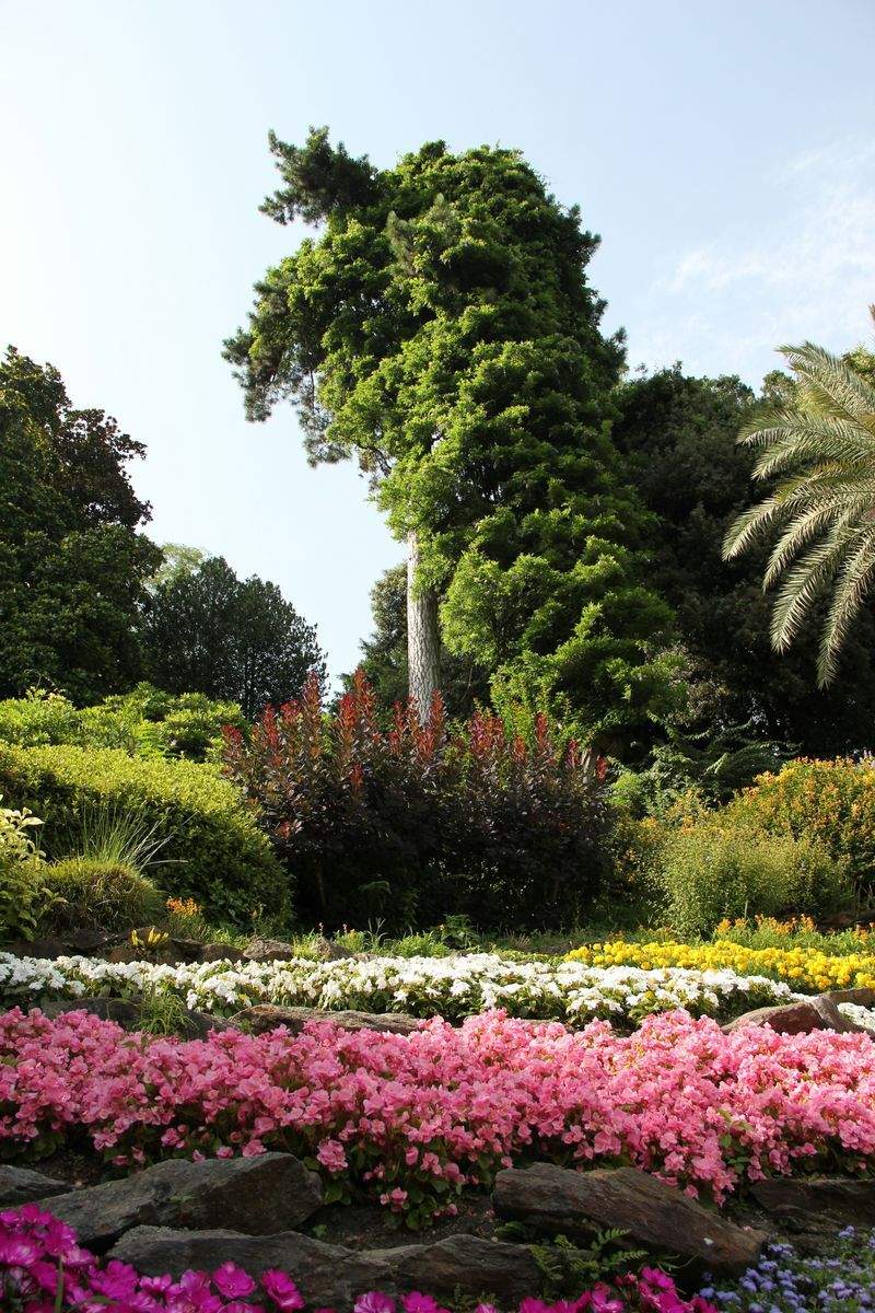 VerdeVivo Jardinería Paulista 4