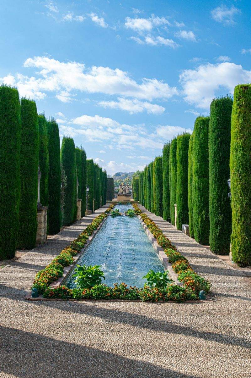 VerdeVivo Jardinería Paulista 8