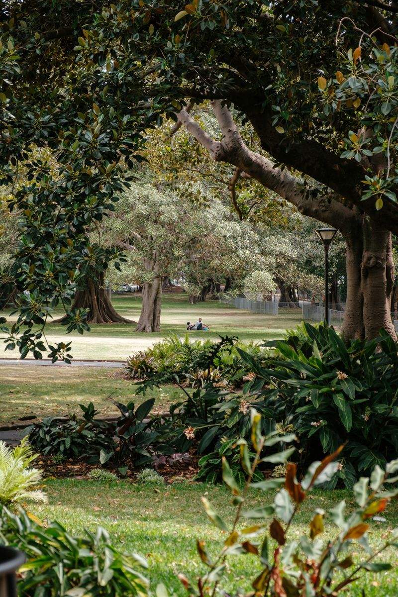 VerdeVivo Jardinería Paulista 9