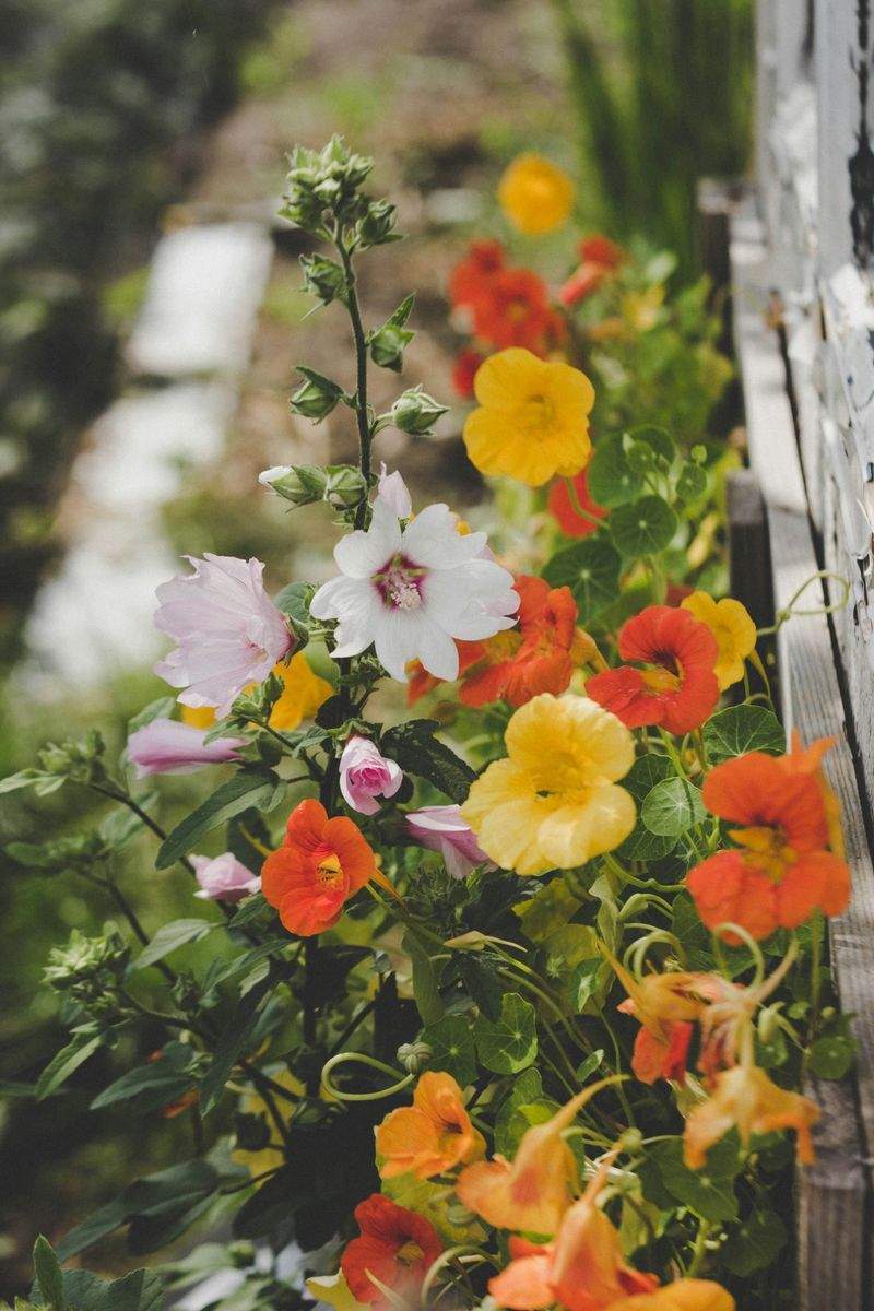 VerdeVivo Jardinería Paulista