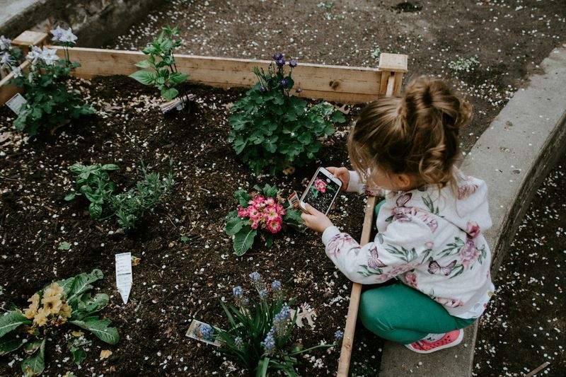 VerdeVivo Jardinería Paulista